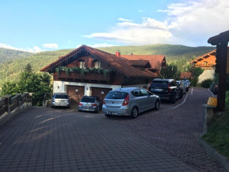 Pension Monte Rosa Szpindlerowy Młyn Zewnętrze zdjęcie